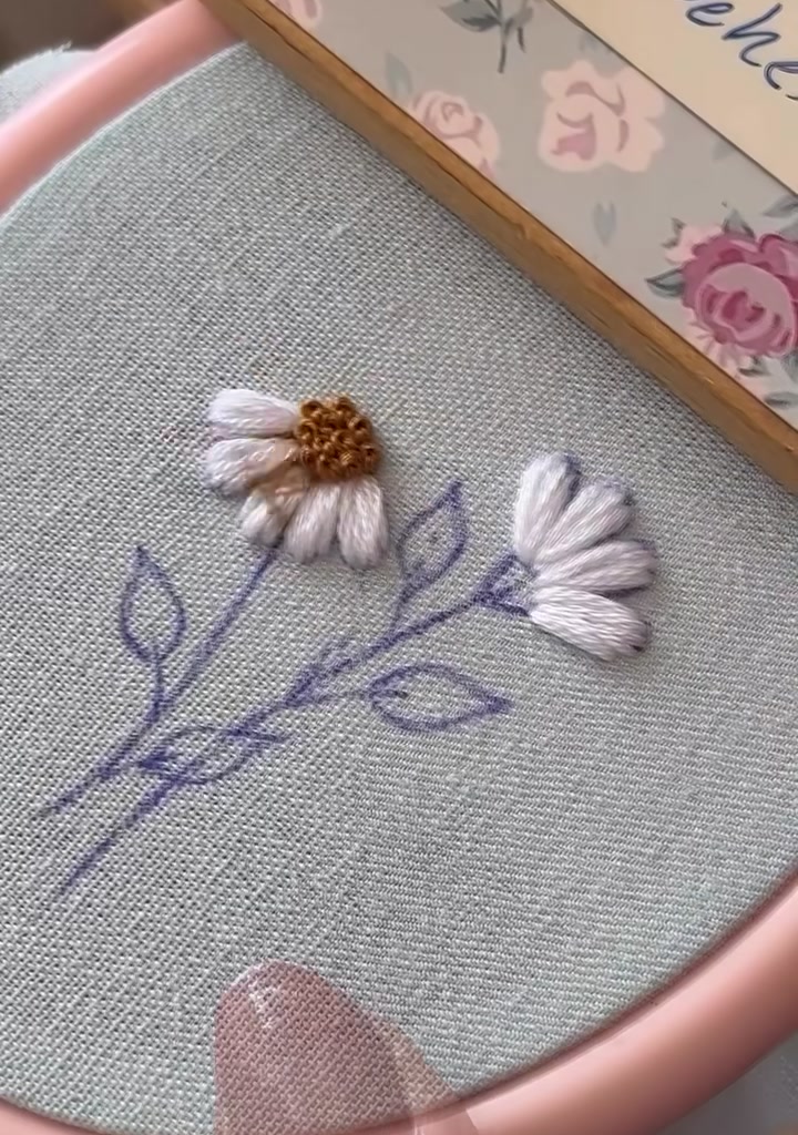 Green thread starting at the base of the second daisy