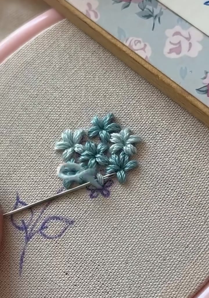 Twelve star flowers completing the full blue flower cluster